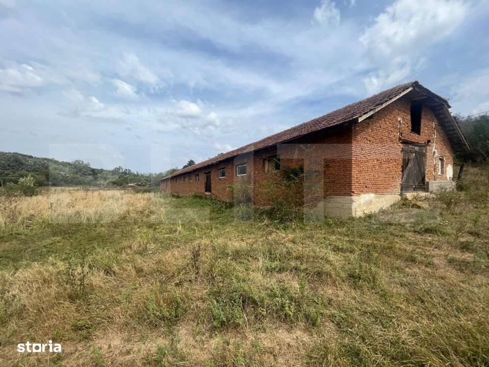 Ferma cu 3000 mp de teren si o constructie de 580 mp - Imagine principală: 2/4