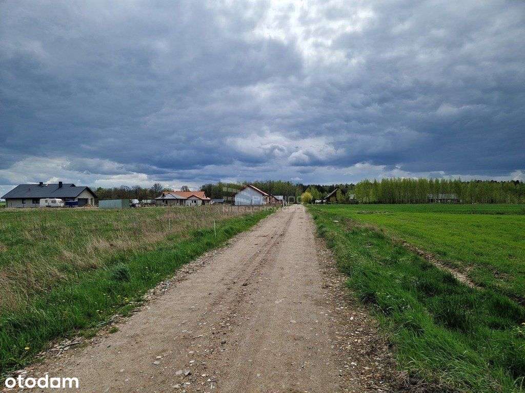 Henrykowo – Raj wśród zieleni, spokój i natura-14