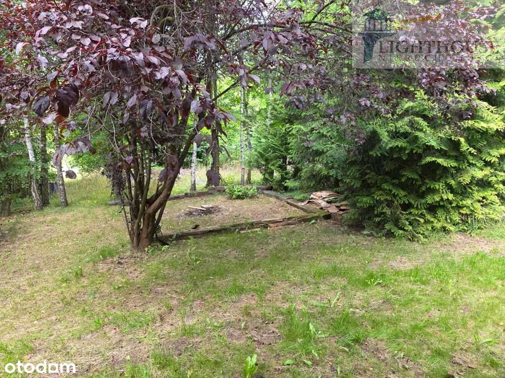 Działka 5 500mkw z lasem, stawem i domkiem - Pełny obrazek: 4/13