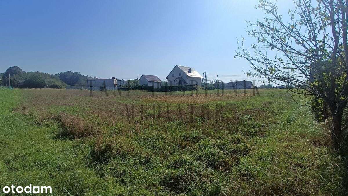 Działka Gorzyce - Osiny w sąsiedztwie lasu.-12