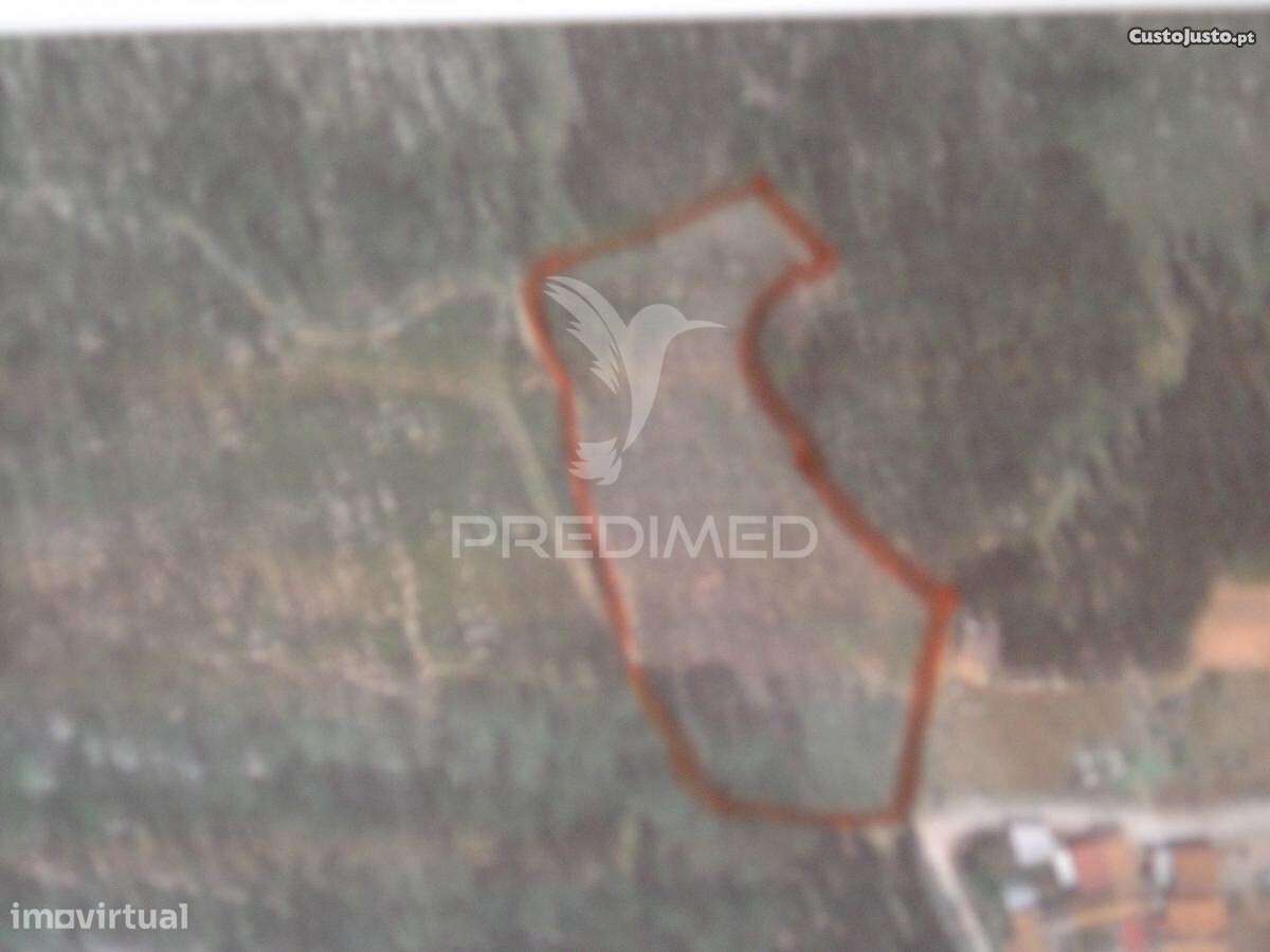 Terreno Rustico - Grande imagem: 4/8