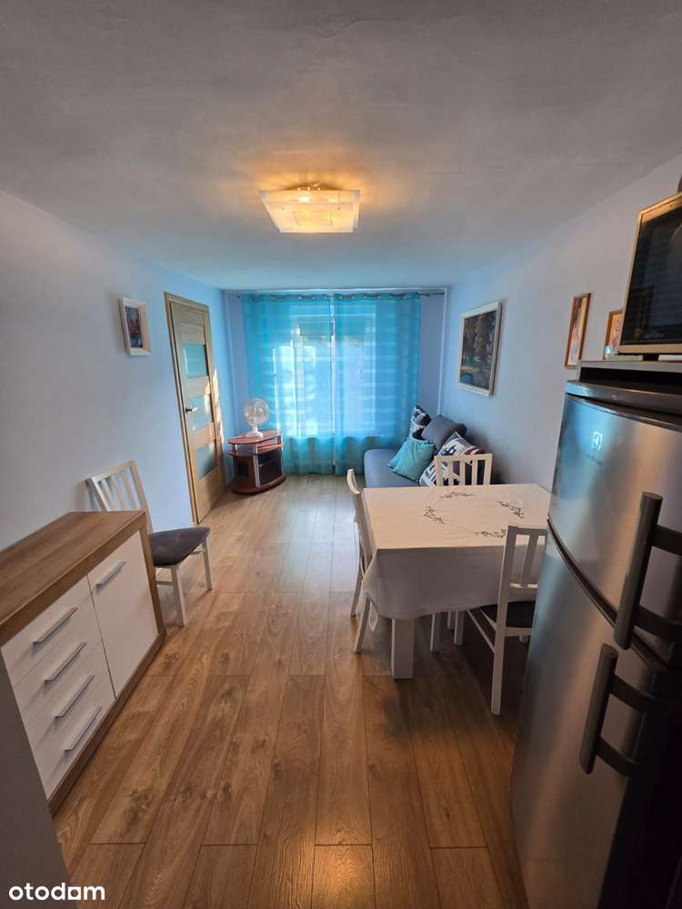 2-pokojowe / Bielsko-Biała ul. Marii Konopnickiej / od zaraz-4