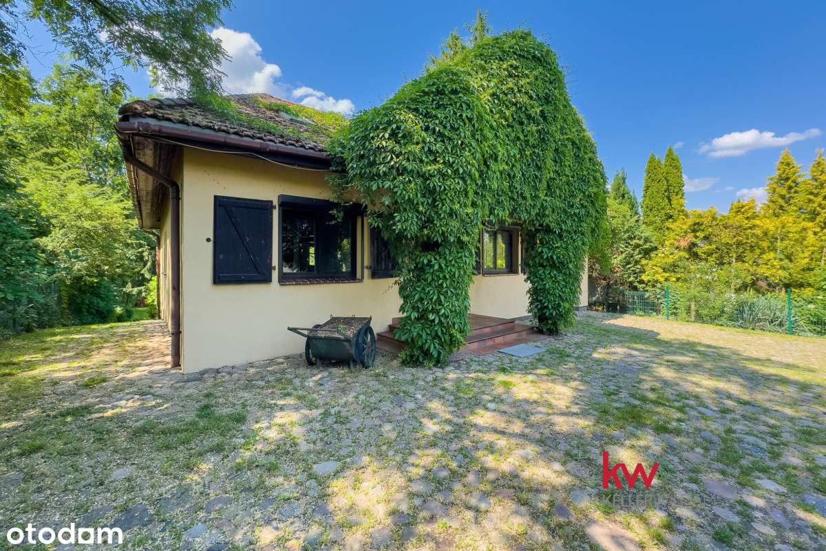 Nowa Cena Działka  ze stawem i dom Chyby - Pełny obrazek: 4/20