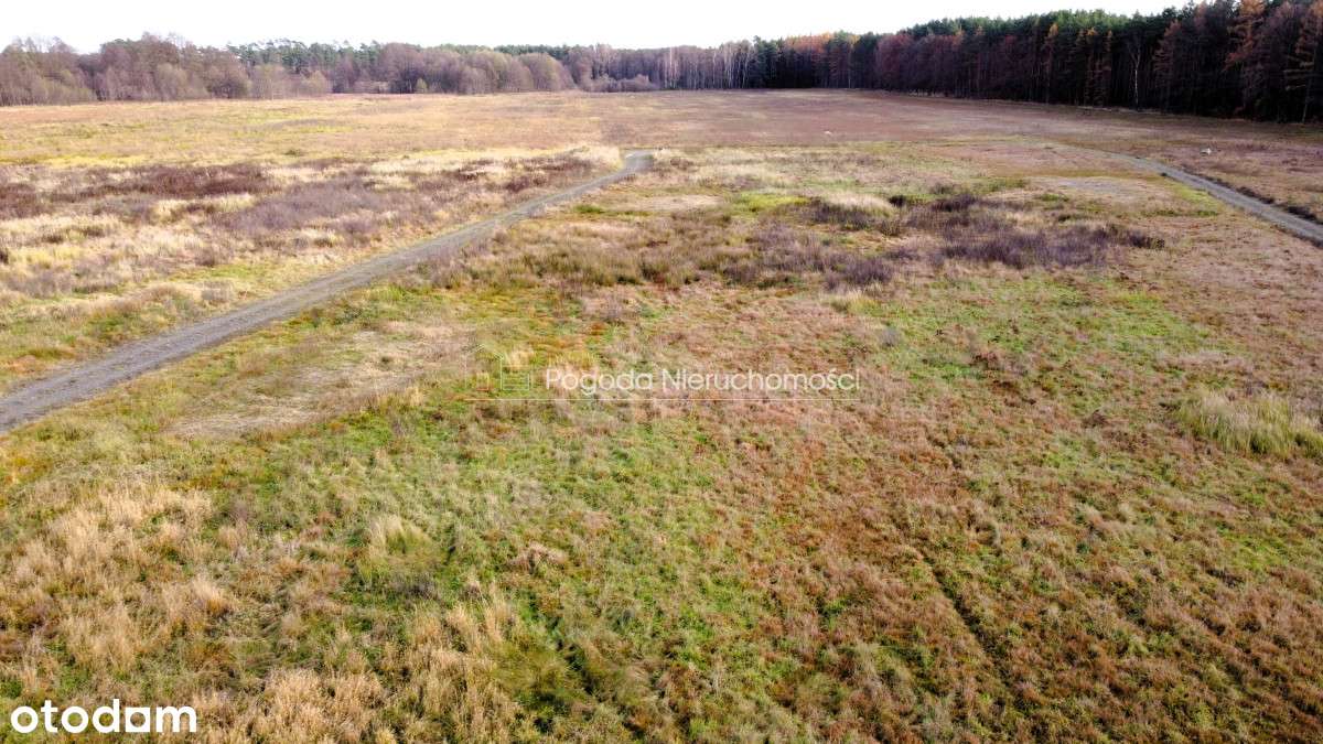 Działki na sprzedaż - Trzebule-11