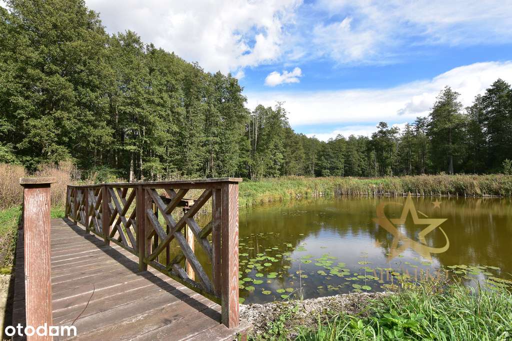 *Urocze miejsce*Morgi*6 ha inwestycji* - Pełny obrazek: 3/14