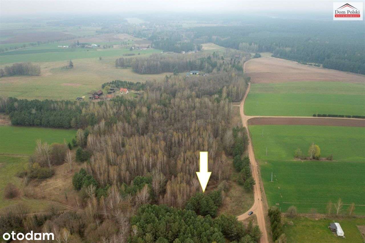 Działka w Piasutnie idealna pod Agroturystykę-1