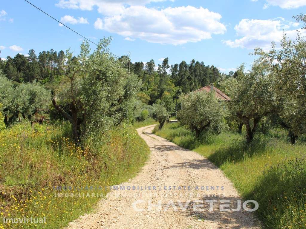 Oportunidade! Quinta com moradia, anexo e terreno próxima da Albufe...-36