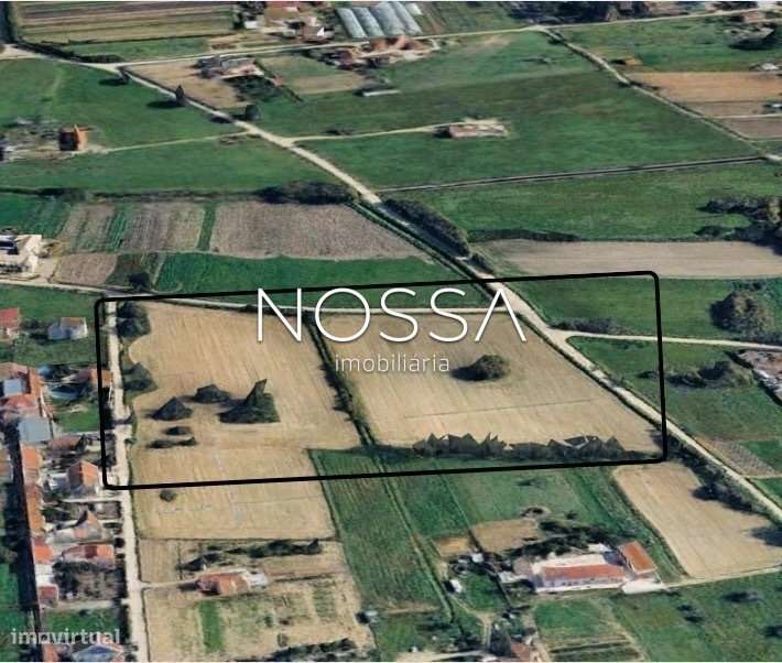 Terreno Misto de 26.520 m² na Barra Cheia – Potencial, Natureza e L... - Grande imagem: 3/15