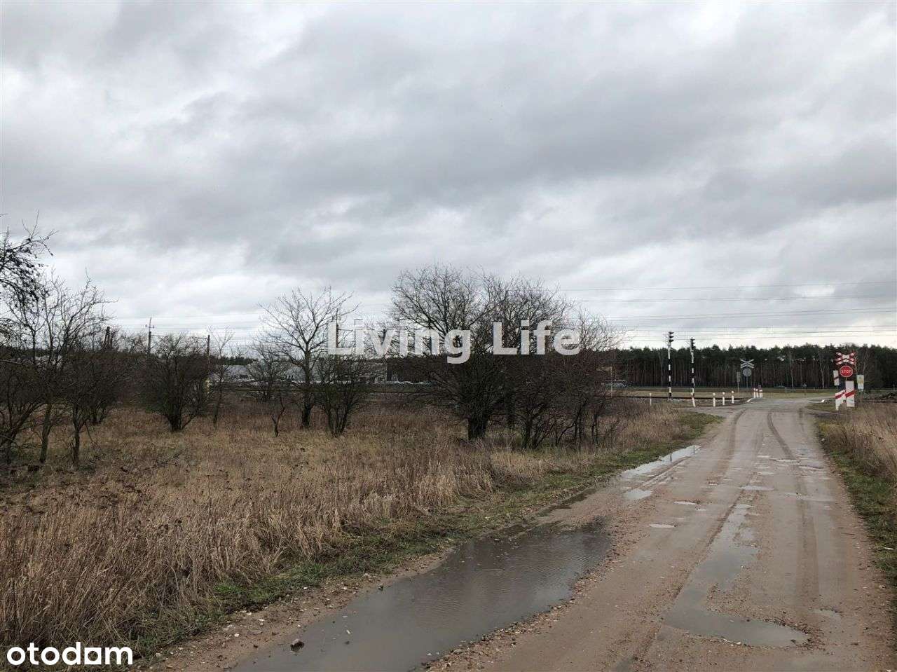 Działka pod Ag, Golęczewo - Pełny obrazek: 4/7