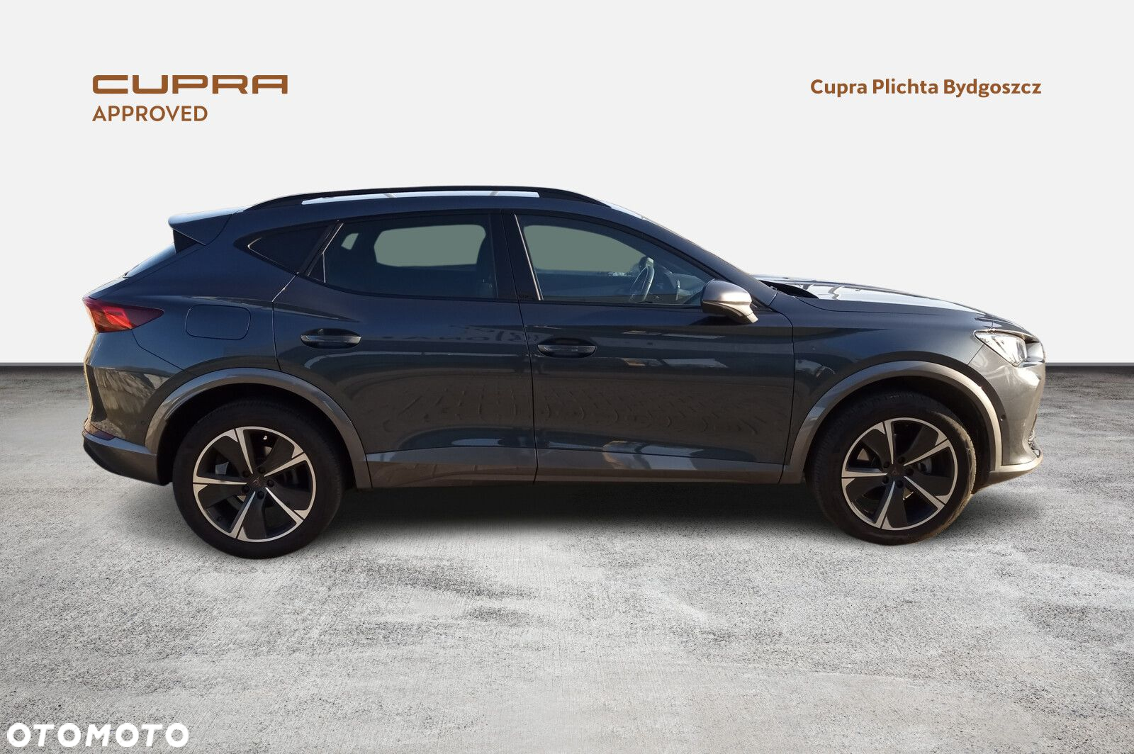 Cupra Formentor 2.0 TSI 4Drive DSG - 6