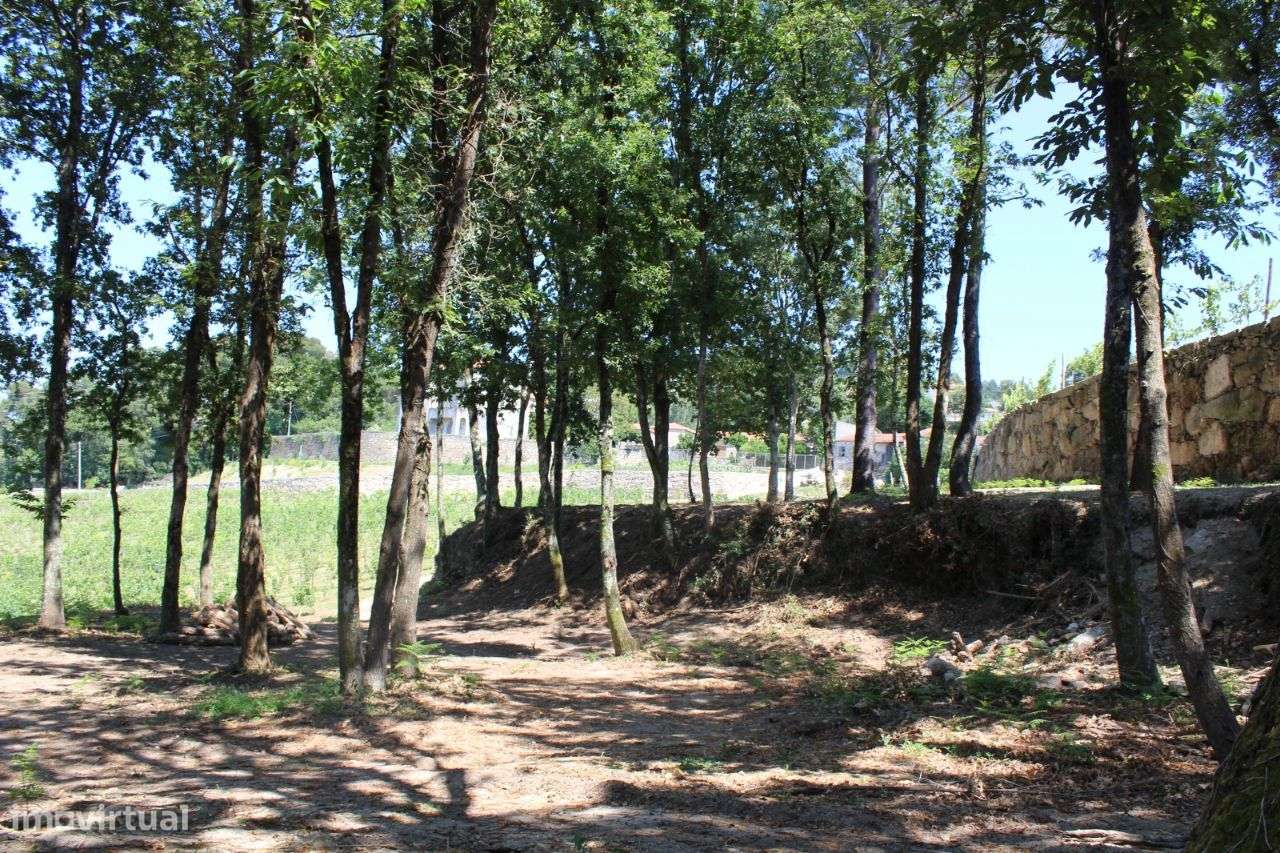 Fantástica Quinta Santo Tirso - Grande imagem: 5/20