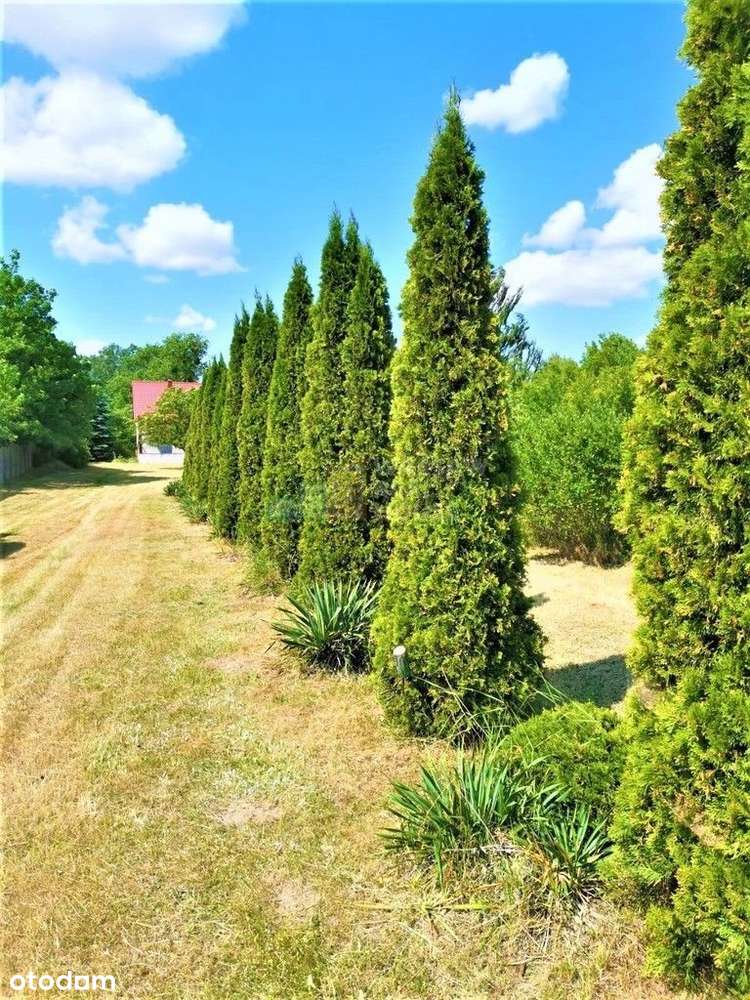 Rezerwacja Dom/110m2/działka5500m2/Podłęż-3