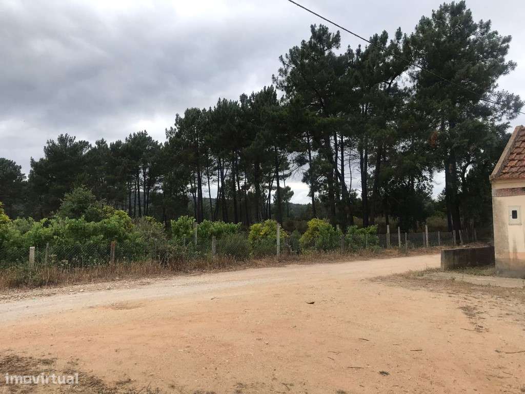 Quinta com casinha na Chancelaria, Torres Novas-7