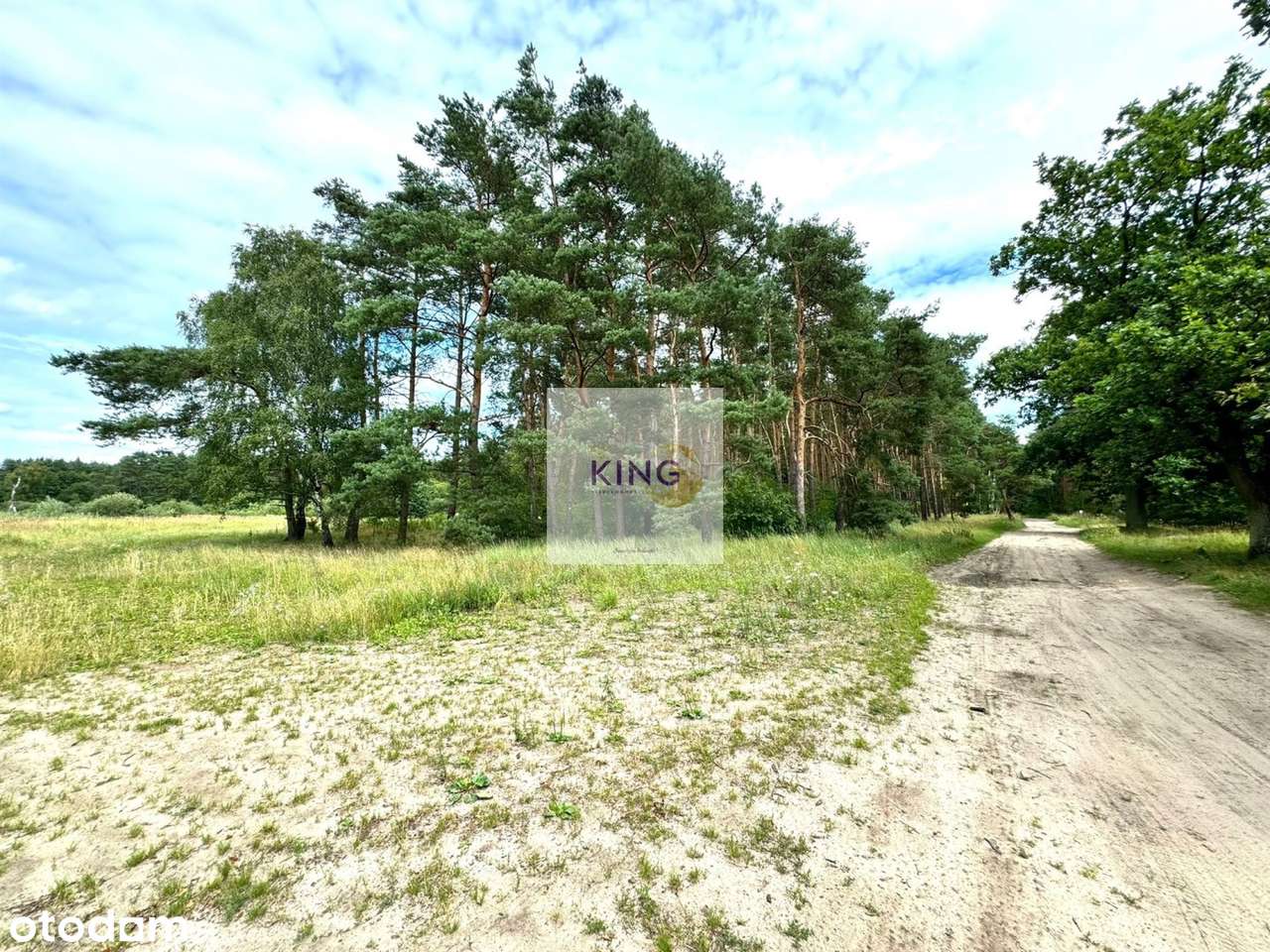 Działka w Sławoszewie nieopodal lasu - Pełny obrazek: 4/5