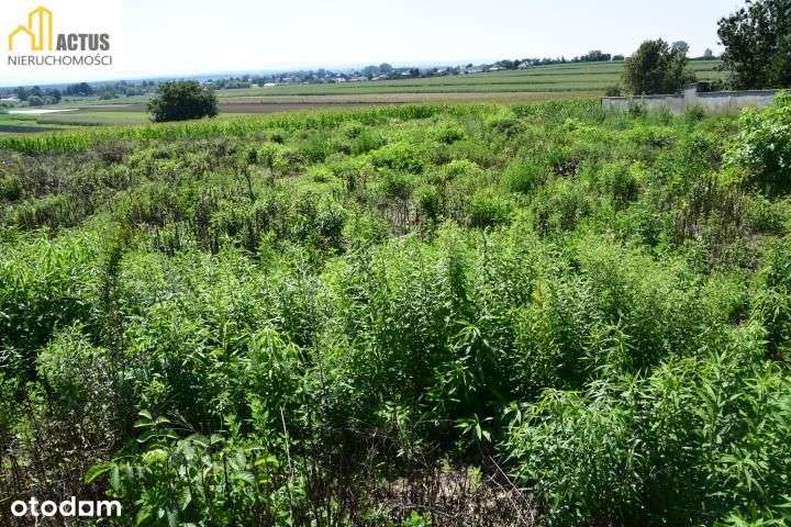 Działka 52 ar z widokiem na Tatry - Pełny obrazek: 5/7