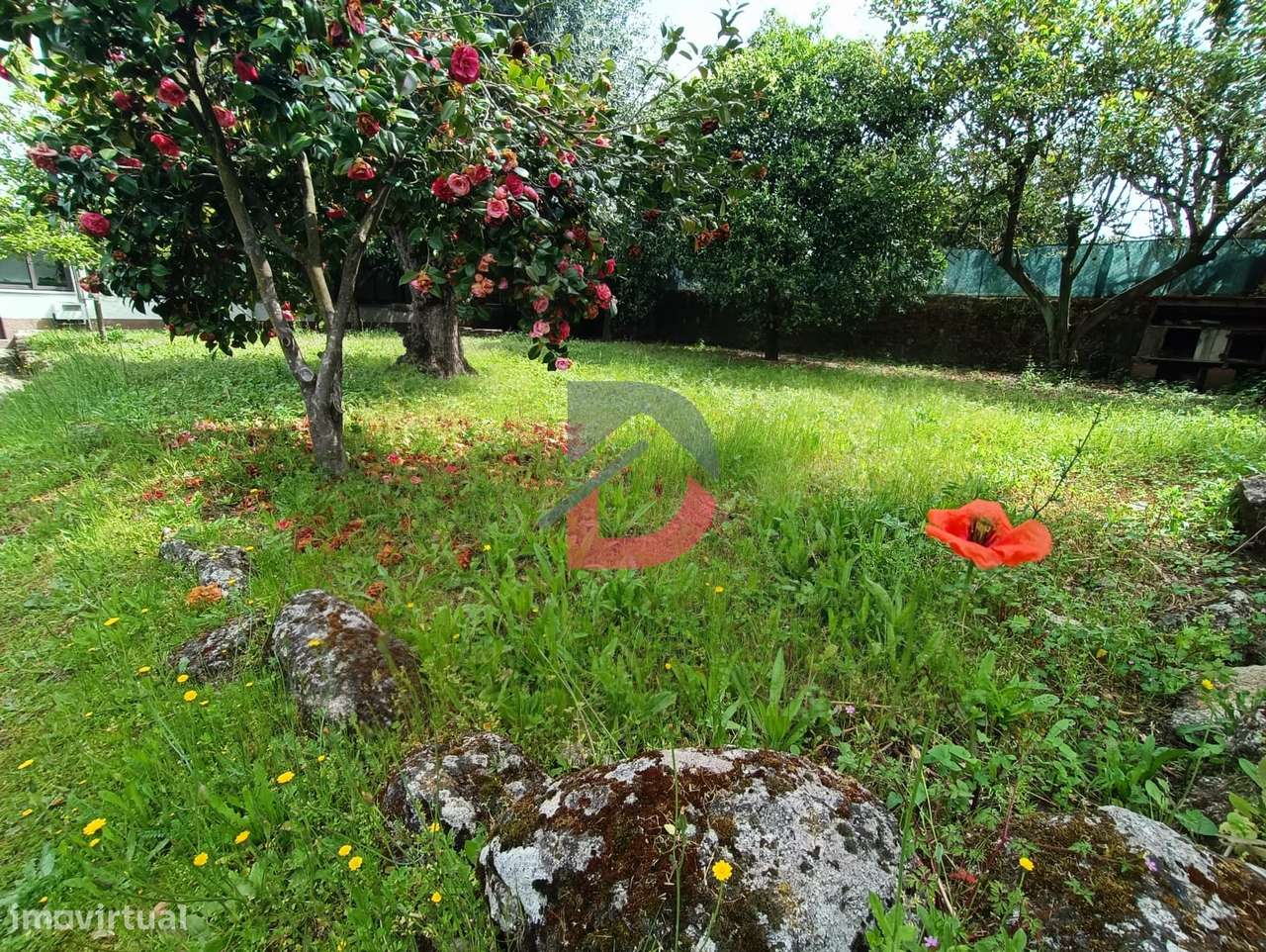 Moradia com Terreno-50