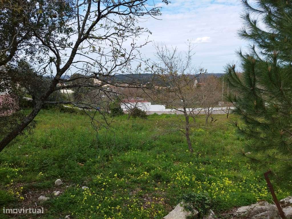 Terreno Urbano Venda Leiria-9