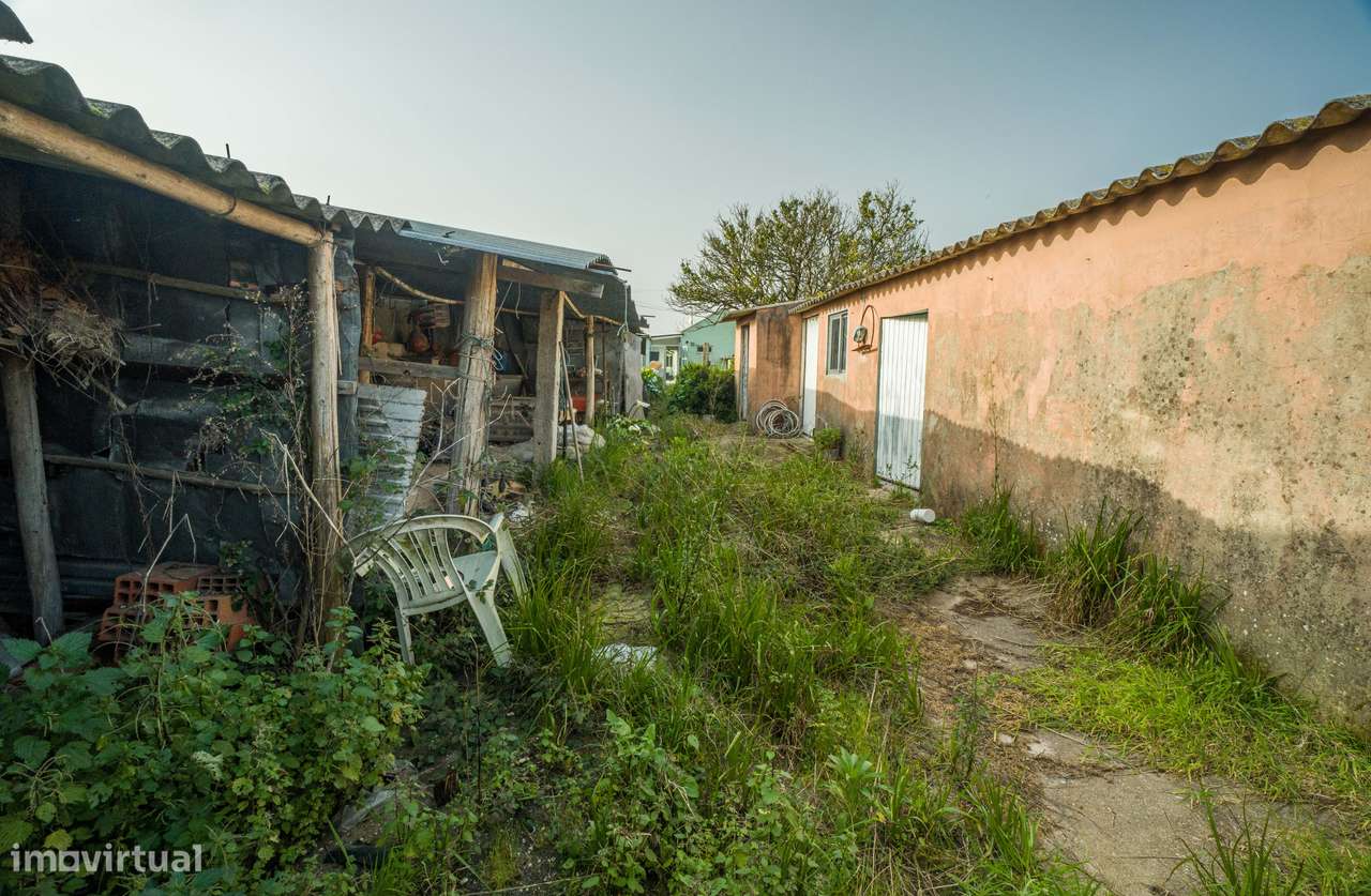 Moradia T3 - Murtosa-13