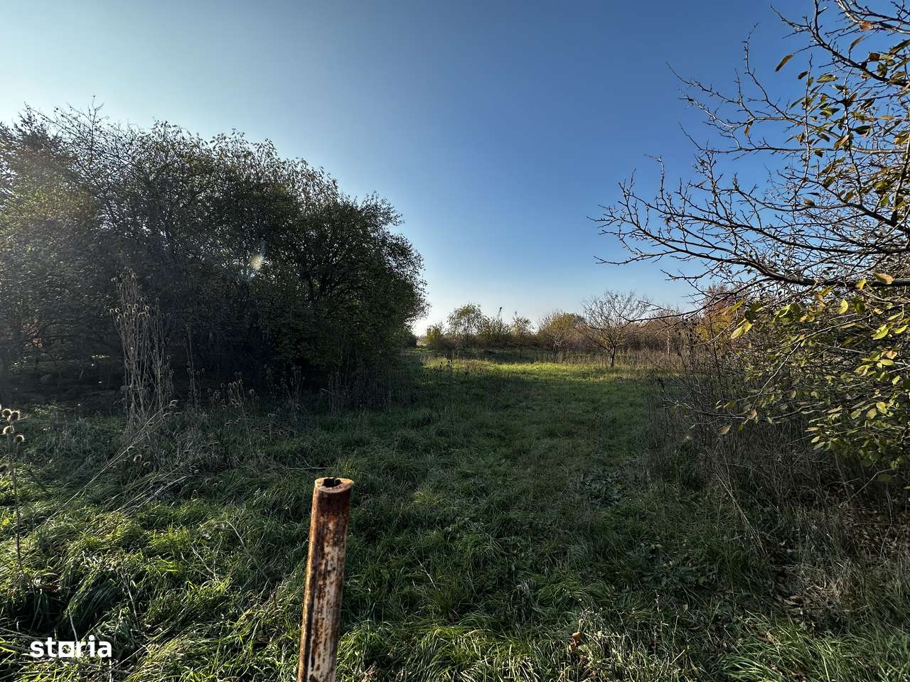 Teren intravilan , 3700 mp - Mehala-1