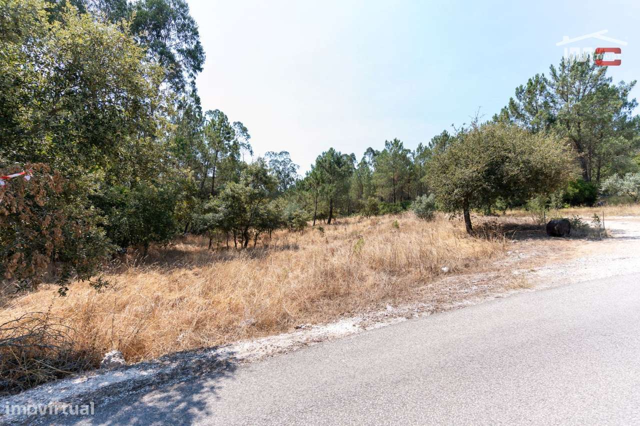Terreno Rústico junto à estrada em Barreiro Grande, S. Mamede - Grande imagem: 4/11