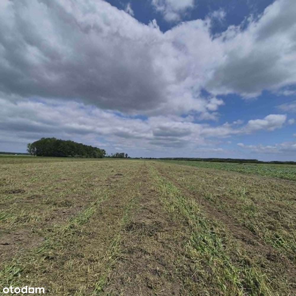 Działki inwestycyjne budowlane , Chrząstów.