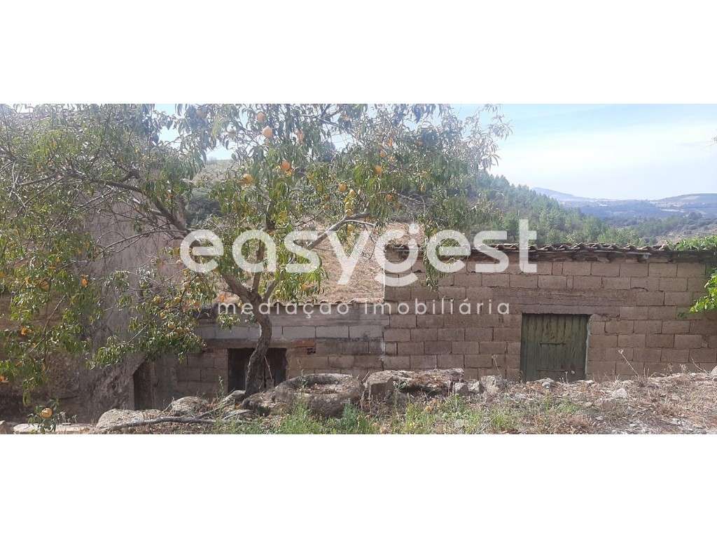 Moradia T2+1 na localidade de Quinta das Pereiras, Carviçais - Grande imagem: 4/17