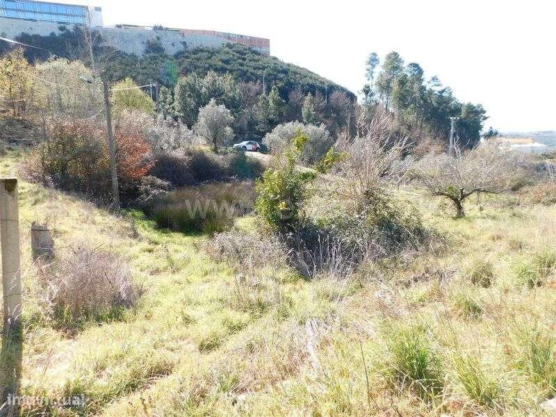 Terreno / Seia, Santa Marinha e São Martinho - Grande imagem: 4/20