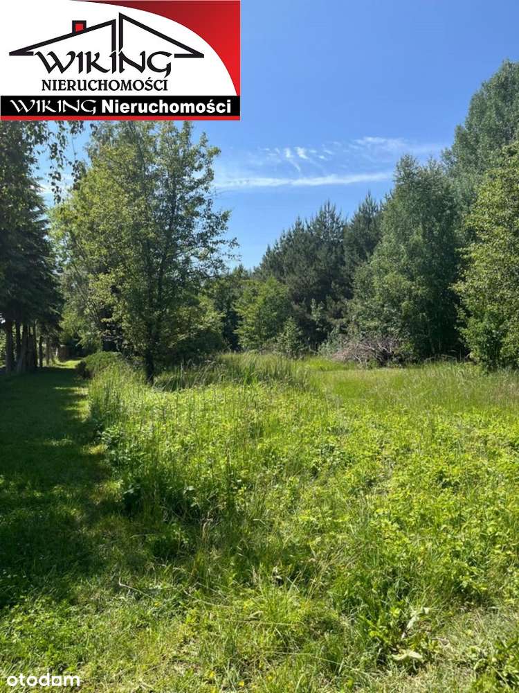 Działka Powidz nad jeziorem Niedzięgiel. - Pełny obrazek: 3/20