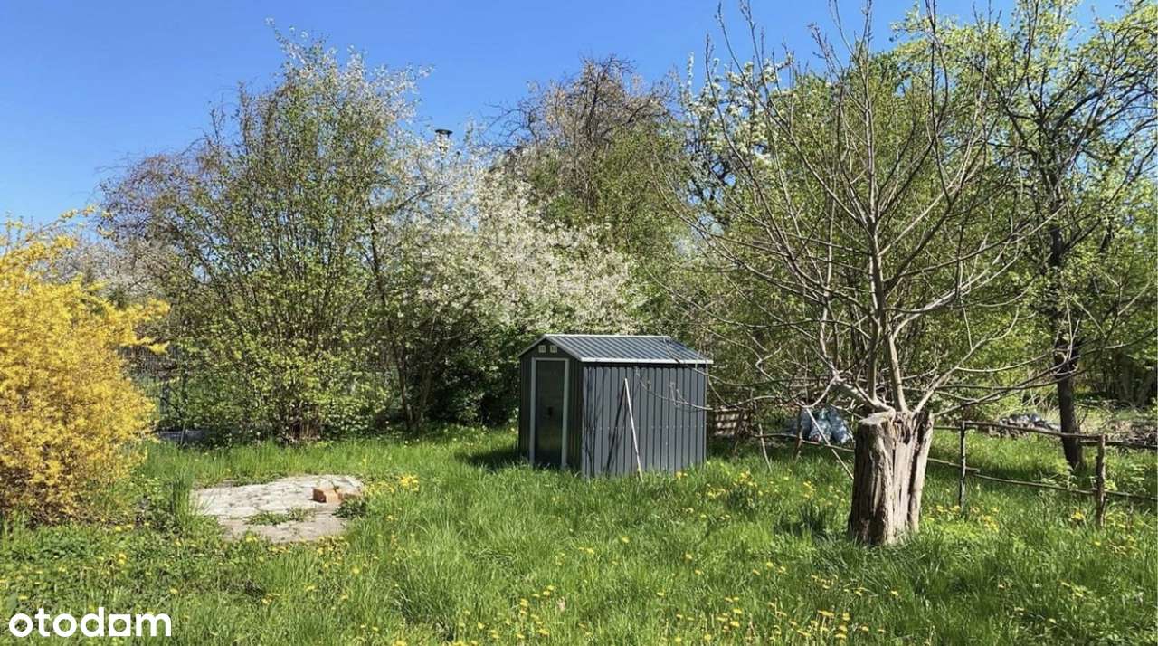 Odstąpię dzierżawę ROD Mandragora Saska Kępa. Bez prowizji.-1