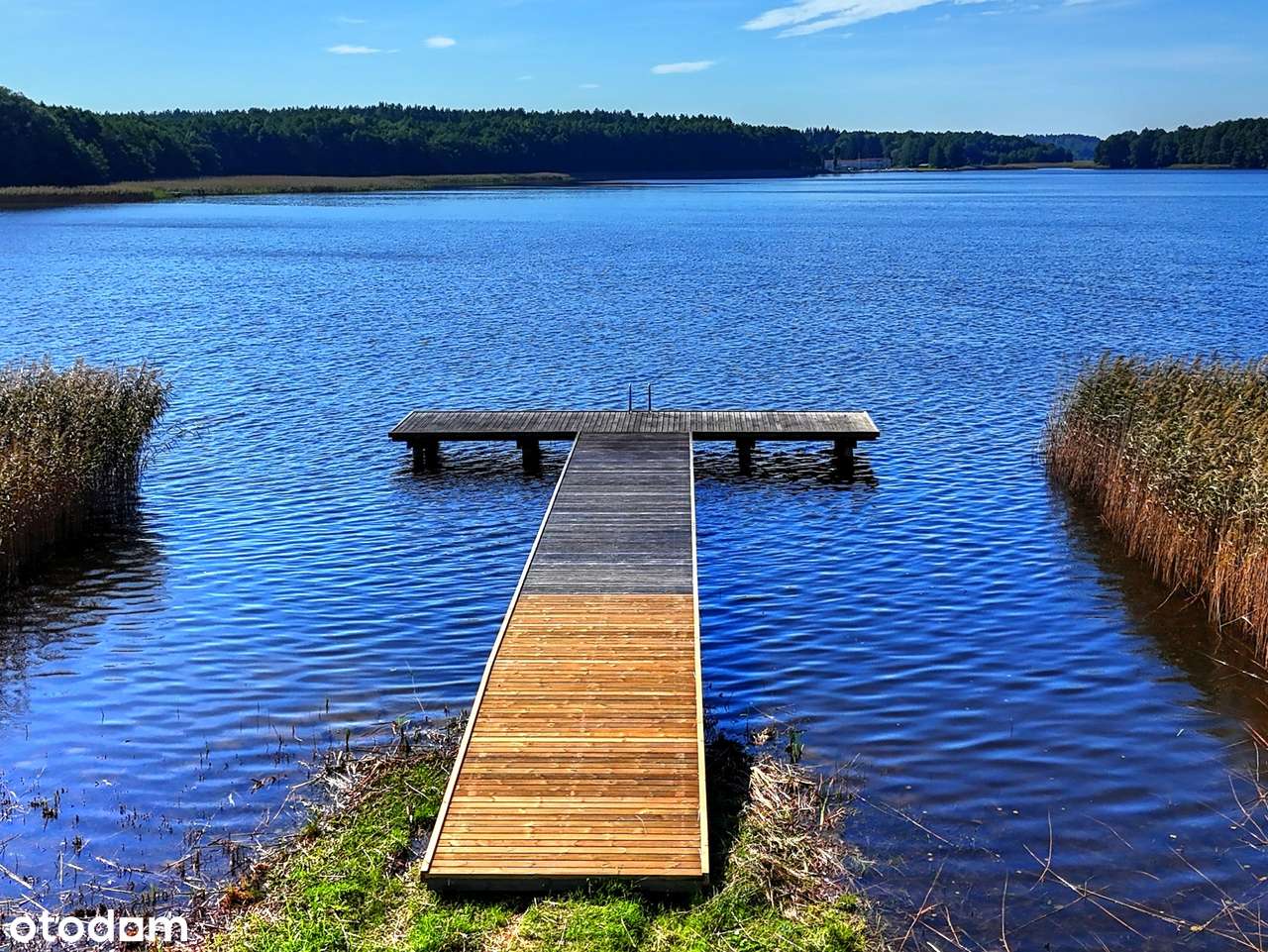 Działka budowlana z linią brzegową na szlaku WJM-9