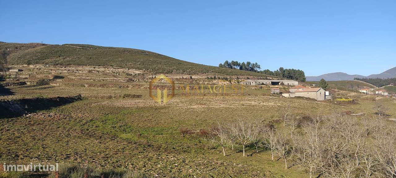 Quinta T5 em Baião para diversas atividades - Grande imagem: 5/22