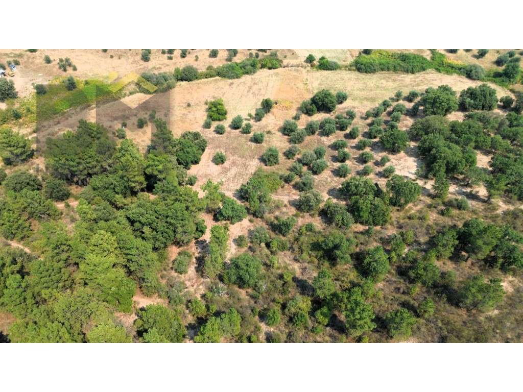 Terreno rústico com 3040m2, para venda, em Salgueiro do Campo. - Grande imagem: 5/11