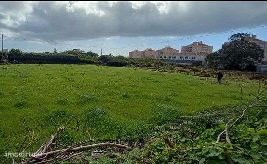 Lote Urbano - Grande imagem: 3/3