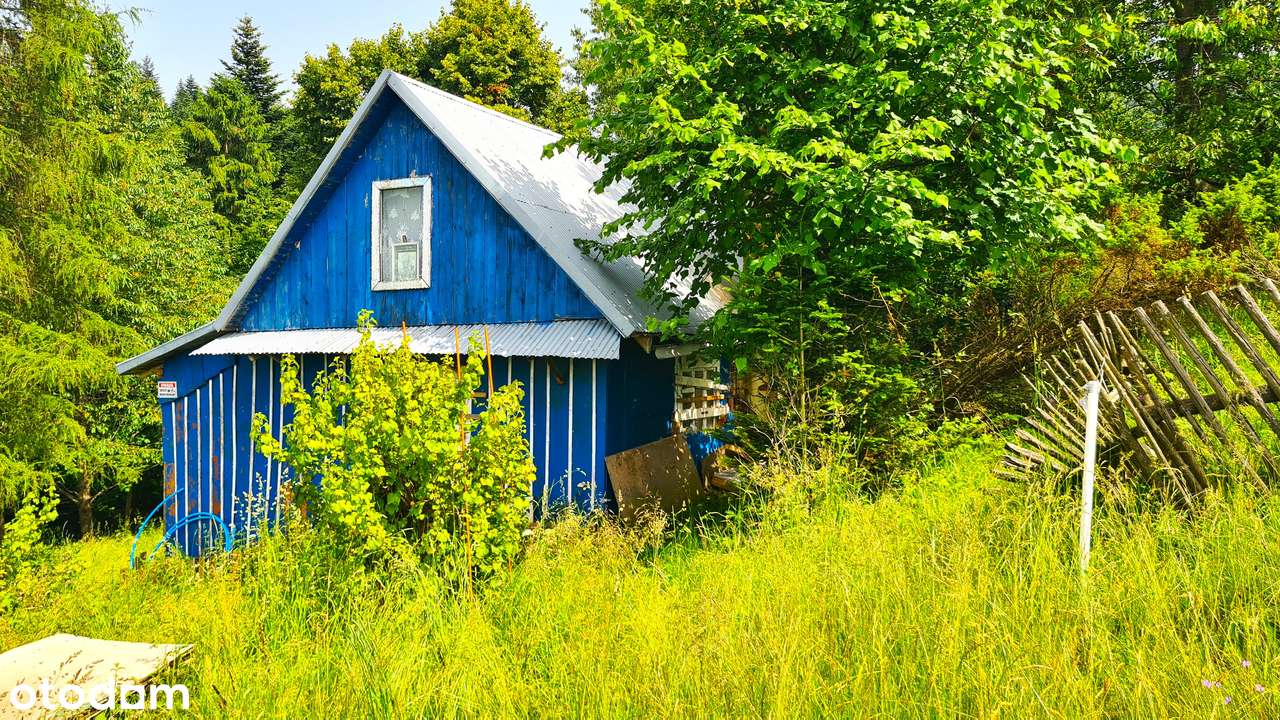 Duża widokowa działka 44,8a z domem | Beskidy Korbielów | bez sąsiadów - Pełny obrazek: 5/20
