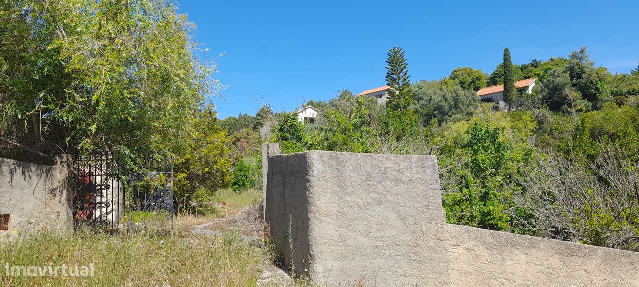 Quinta em Alenquer-14