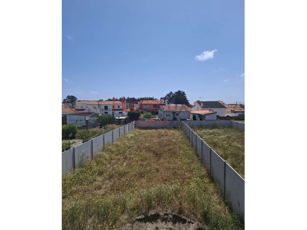 Moradia Geminada T4, Gafanha da Nazaré - Grande imagem: 5/9