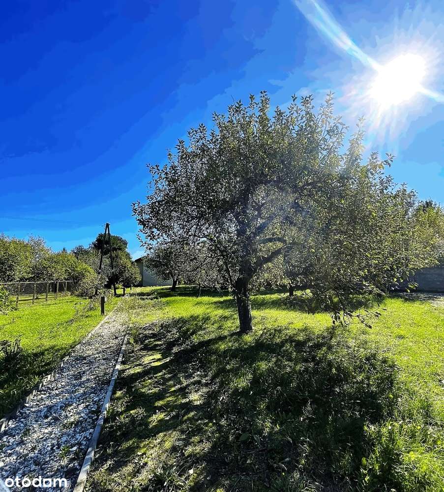 Dom w sąsiedztwie miasta z dużą działką-12