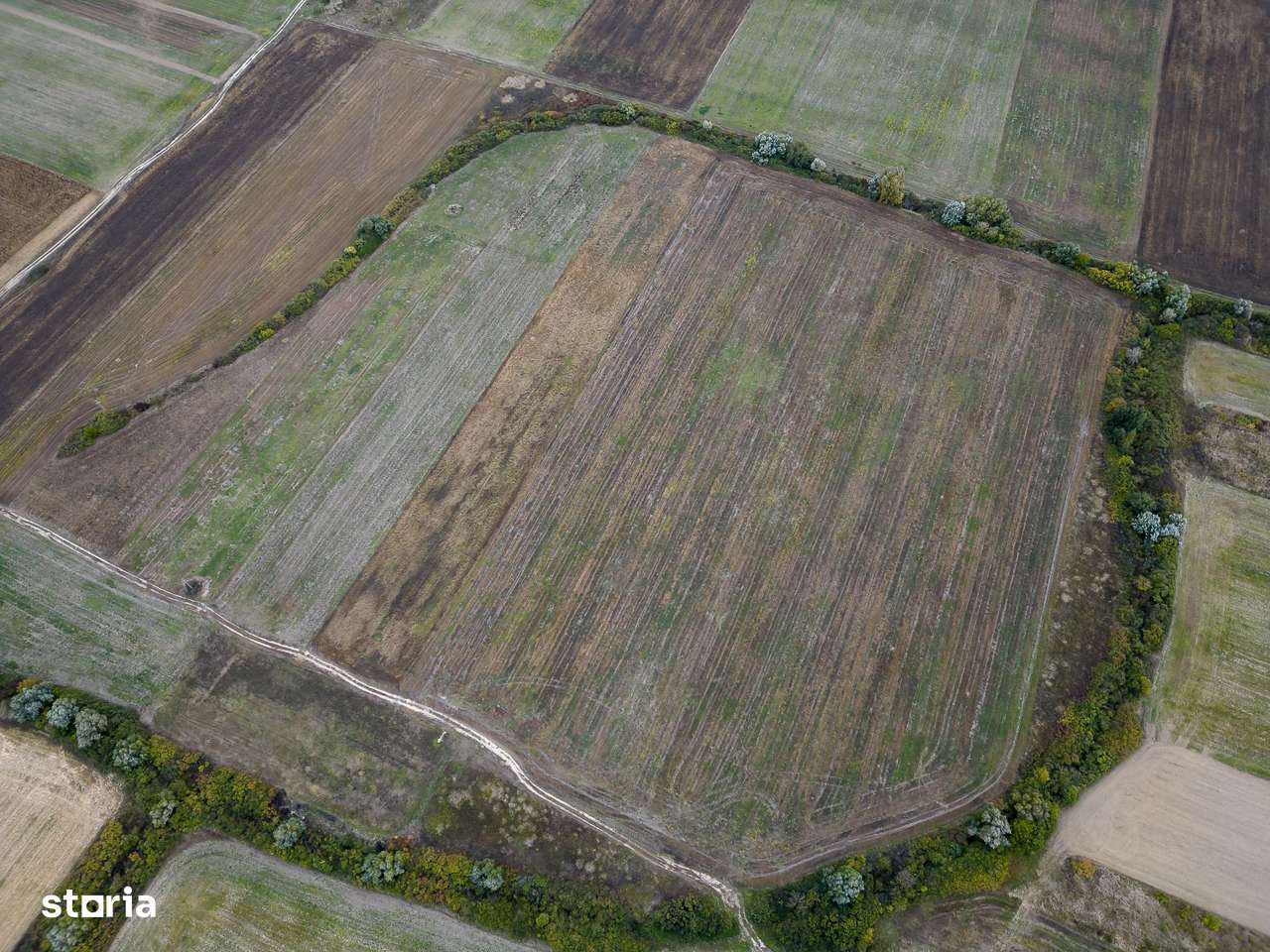 Teren agricol de 34.500mp în Albina, Județul Timiș - Imagine principală: 5/6