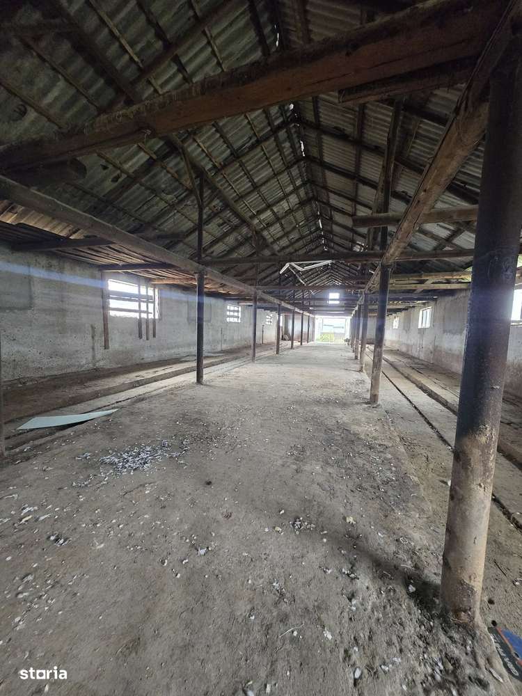 Teren Extravilan + o constructie  de Vânzare – Șeica Mică-3