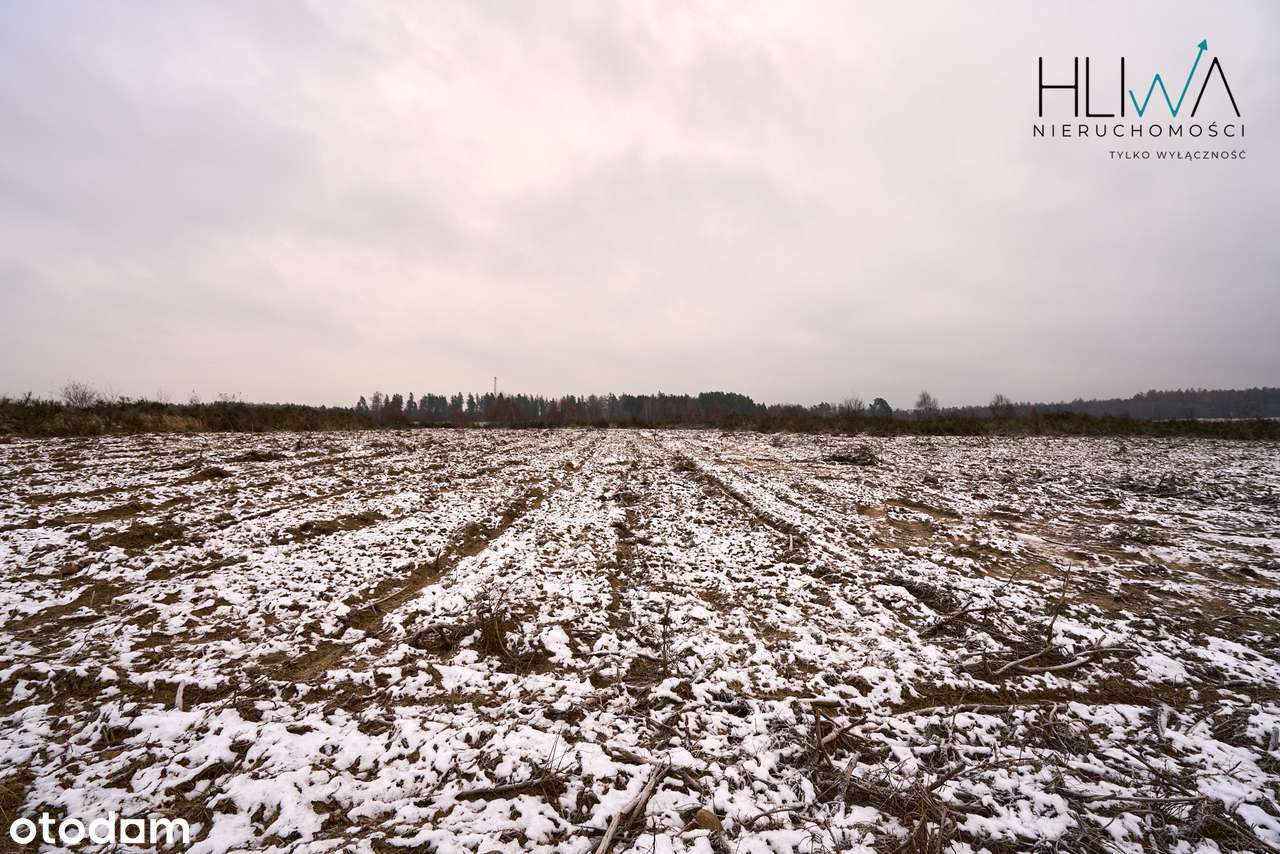 Działka zagrodowa Mierzyno gm. Gniewino 3011 m2-11