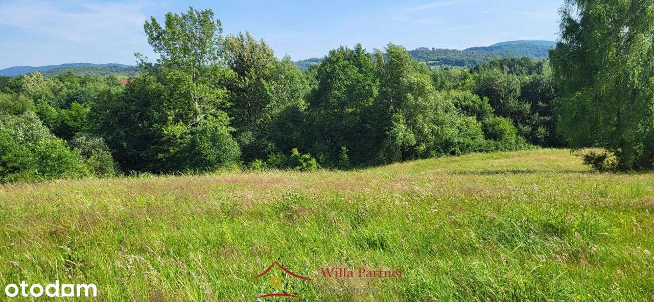 Tarnawa, gm. Łapanów, dom 120m2, działka 1300m2-11