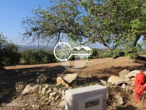 Terreno rústico com 7680 m2 - Grande imagem: 3/3