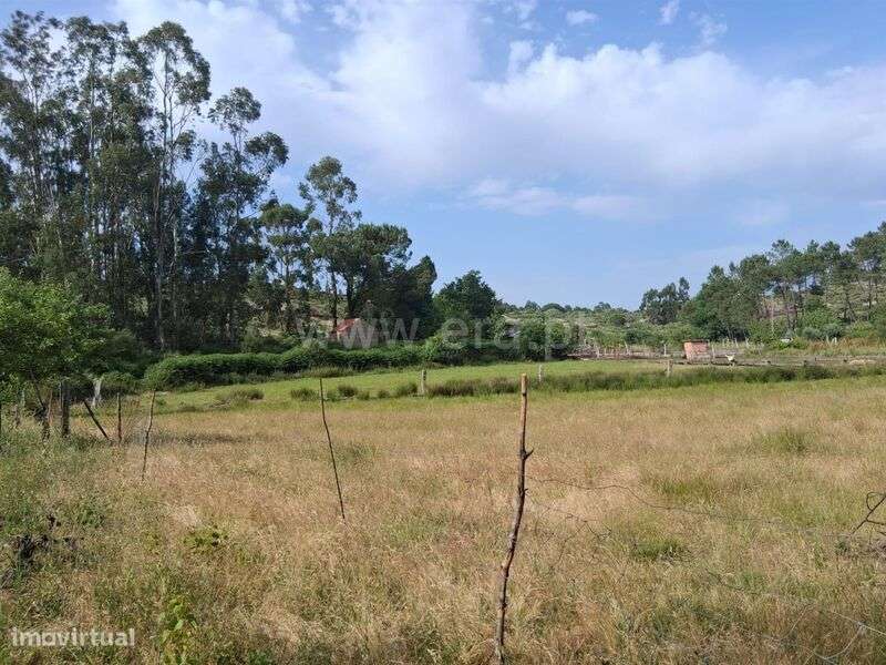 Terreno / Seia, Paranhos - Grande imagem: 5/9