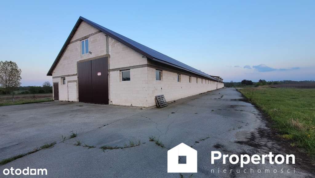 Hala na sprzedaż - Pełny obrazek: 4/9