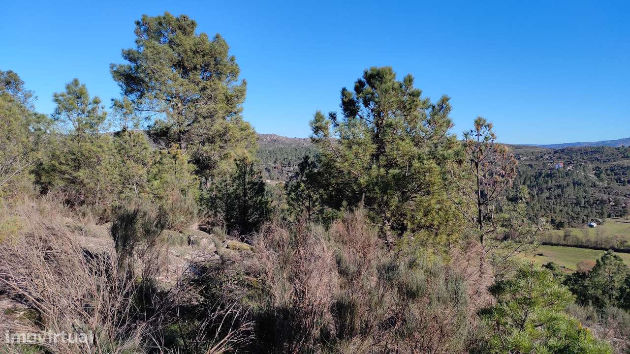 Quinta com vista deslumbrante para a Serra da Estrela 17500€-9