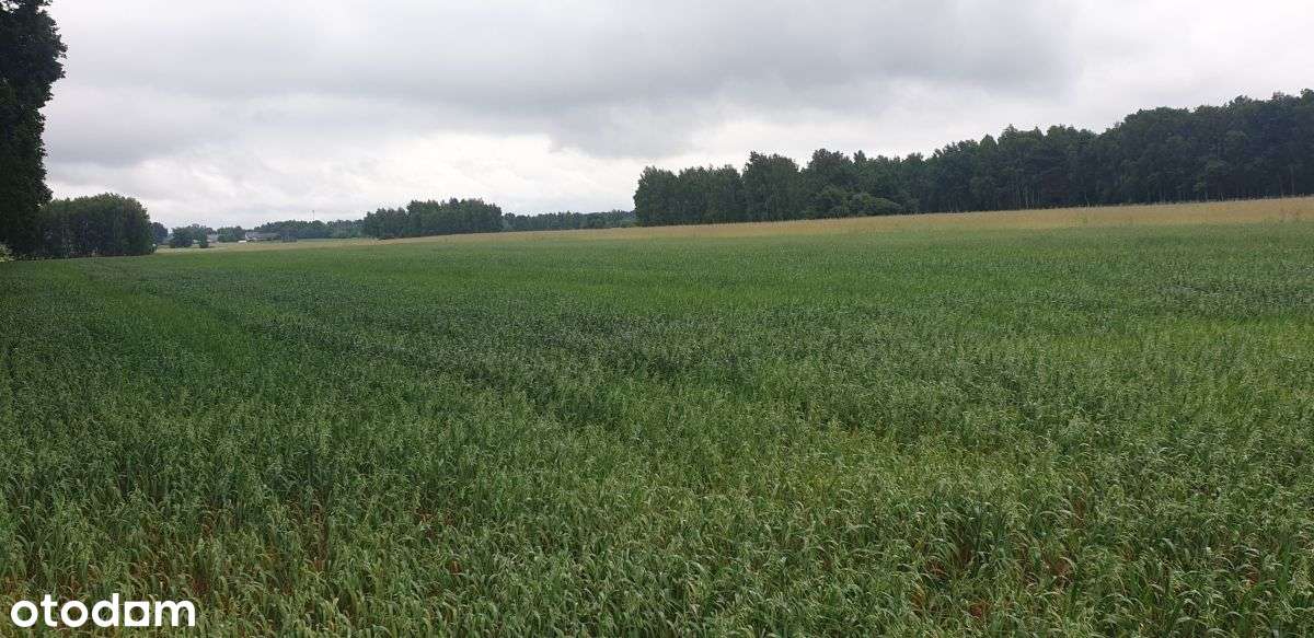 Działka, 1 041 m², Wola Pasikońska-8