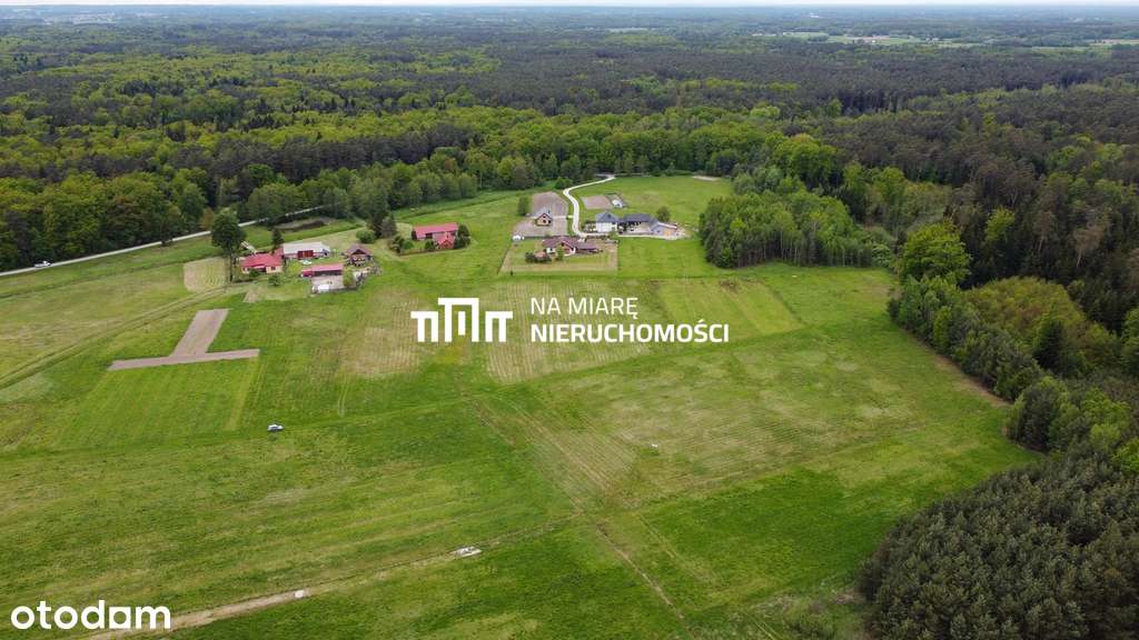 Duża działka rolno-budowlana, W trakcie WZ, 1.2 ha - Pełny obrazek: 5/9