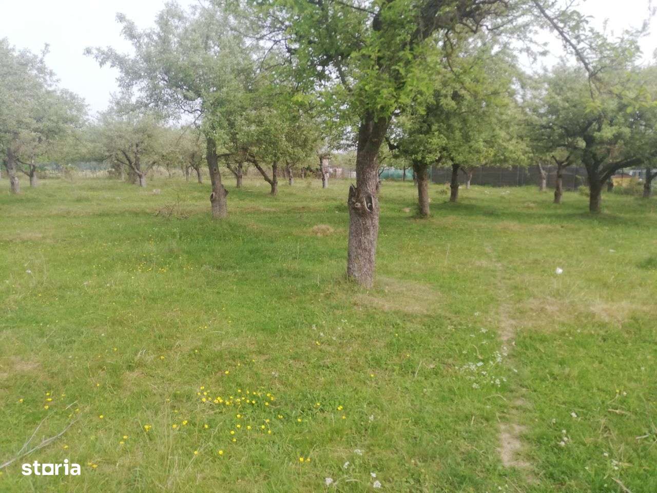 Câmpina - teren parcelabil 2600mp - 130000 Euro - Imagine principală: 3/3