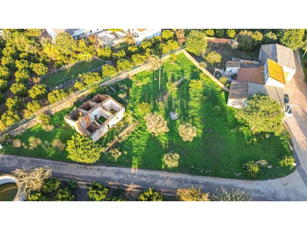 Ruina com projeto para a construção de moradia T4 com piscina com 1... - Grande imagem: 5/24