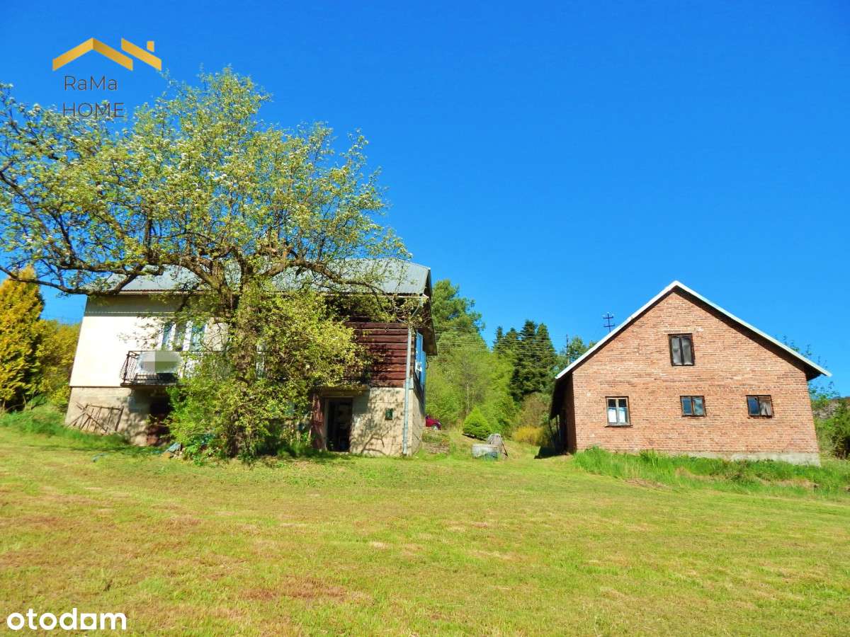 95 arów z domem lasem i sadem Błażowa k/ Rzeszowa - Pełny obrazek: 5/16
